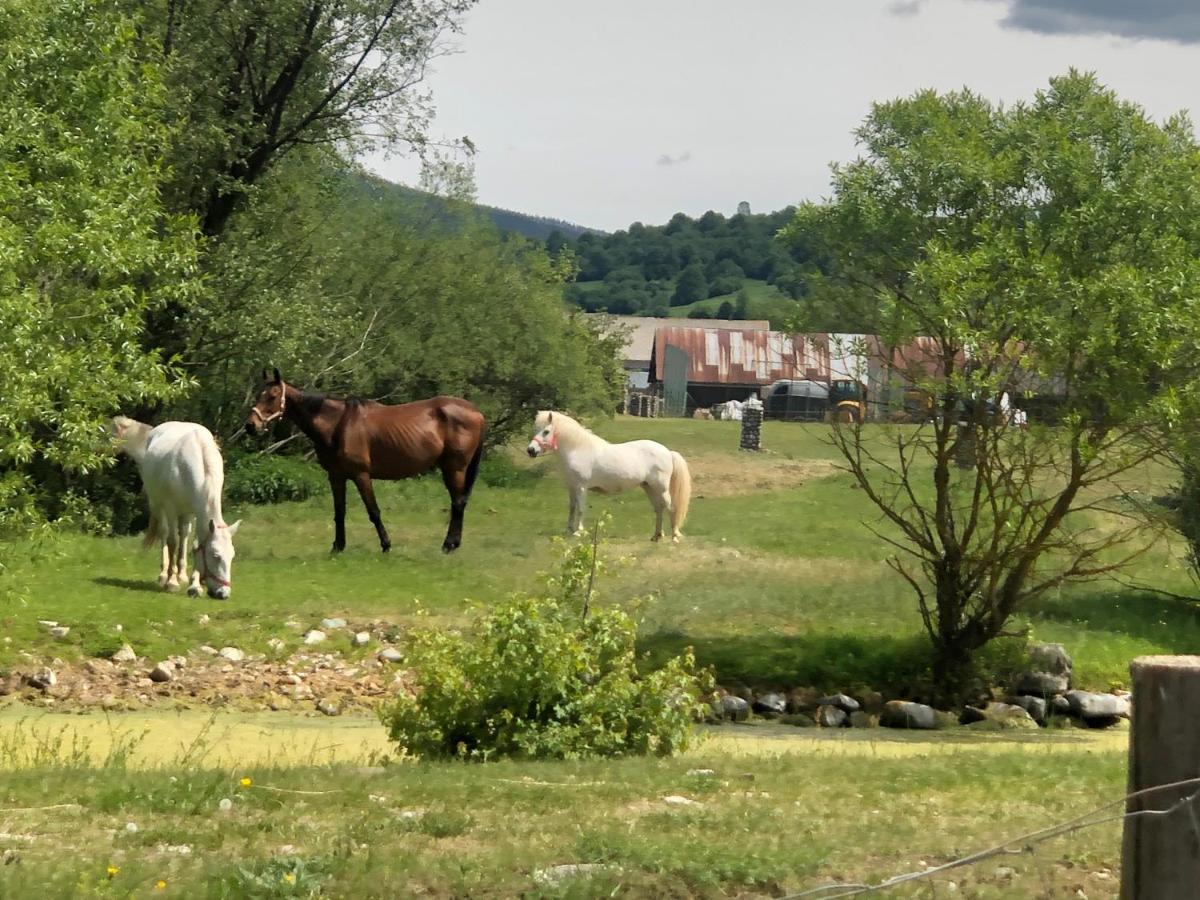Zazi Apartmany Mýto pod Ďumbierom Exteriör bild